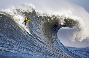 Surf California